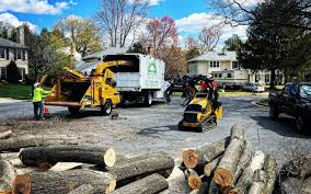 Best Palm Tree Trimming  in Captains Cove, VA