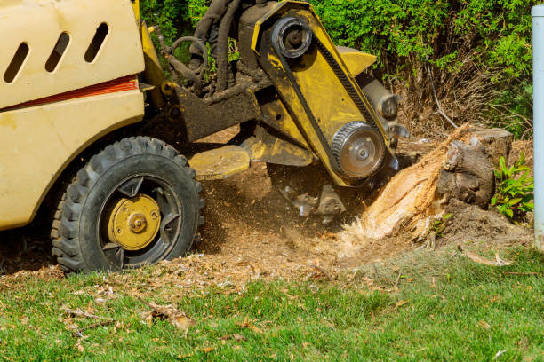 Best Lawn Mowing  in Captains Cove, VA