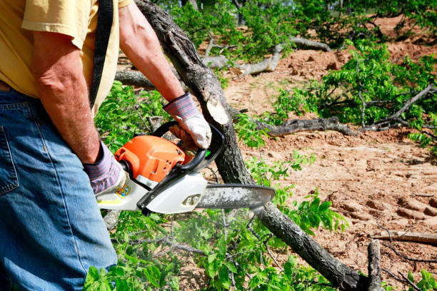 Best Emergency Tree Removal  in Captains Cove, VA